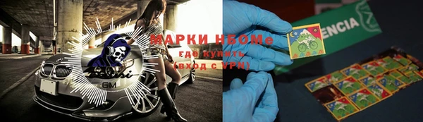 молекула духа Арсеньев