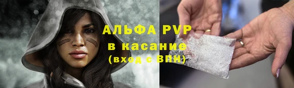 молекула духа Арсеньев