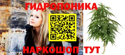 дурь Ирбит