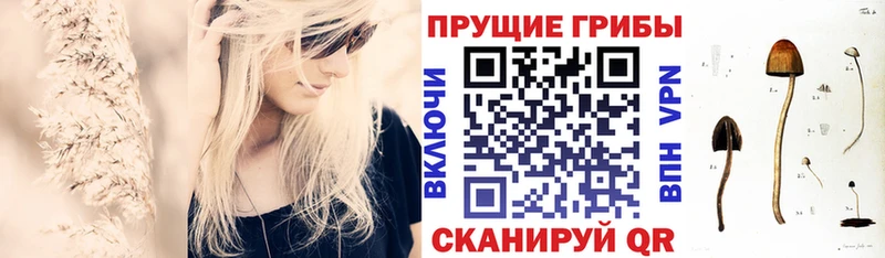 нарко площадка официальный сайт продажа наркотиков Майкоп Галлюциногенные грибы Cubensis