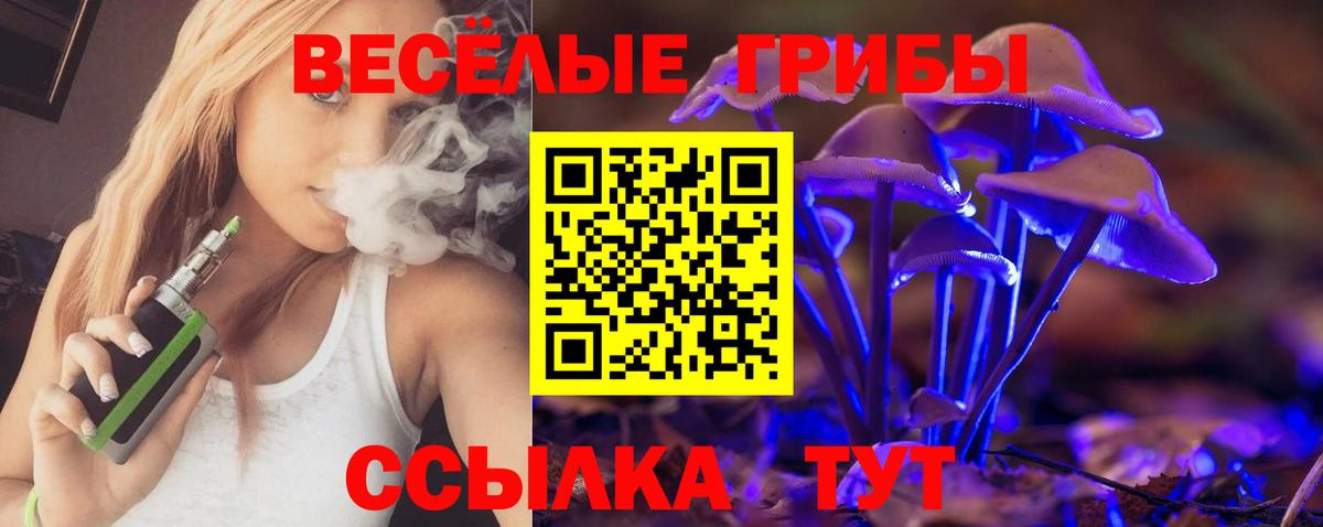 Псилоцибиновые грибы Psilocybe Майкоп