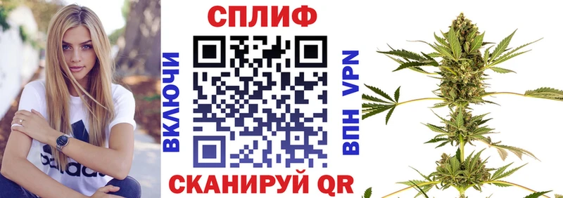 Марихуана SATIVA & INDICA  ОМГ ОМГ tor  Майкоп 